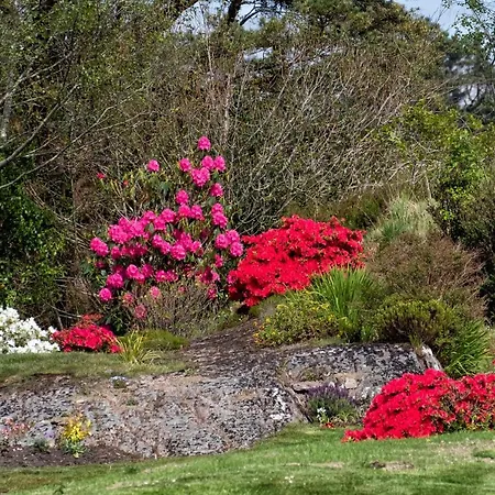Cosy Cottage, Near The Sea, Glengarriff. Daire