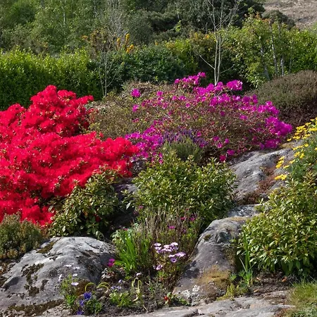 Cosy Cottage, Near The Sea, Glengarriff. Daire *